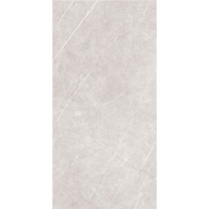 keramičke pločice arena,elegant grigio,60x120