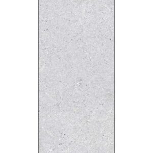 keramičke pločice arena,terrazzo grigio,60x120